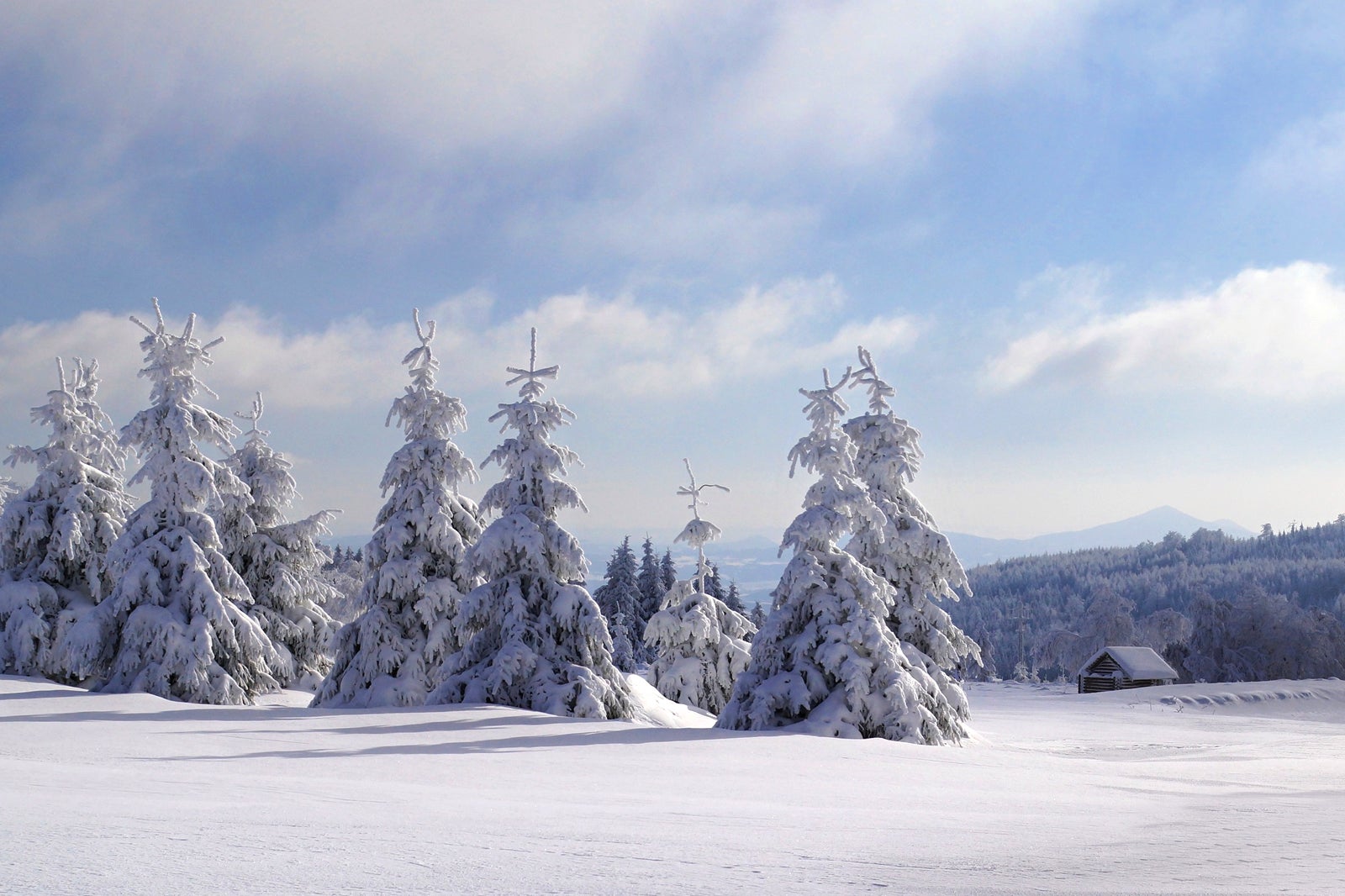 winter at Ore Mountains